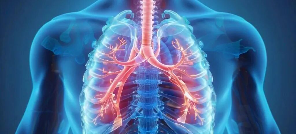 支气管炎VS支气管哮喘